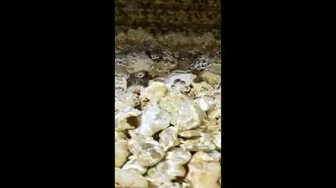 Beyaz çakıl zeminde akan temiz suyun yavaş hareket eden dikey videosu.