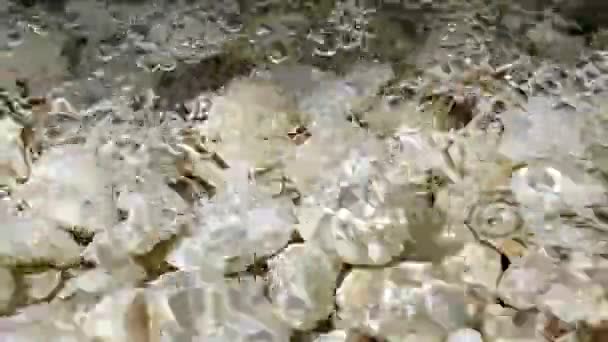 Clean Water Flowing White Gravel Floor — Stock Video