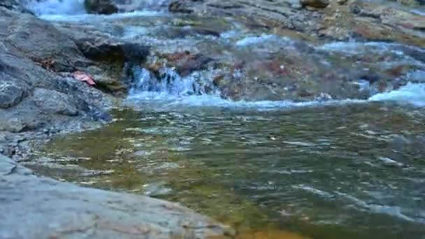 Tiszta Víz Áramlása Huay Keaw Vízesés Területén Chiang Mai Tartományban — Stock videók