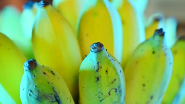 Filmik Uprawianego Banana Tajlandii — Wideo stockowe