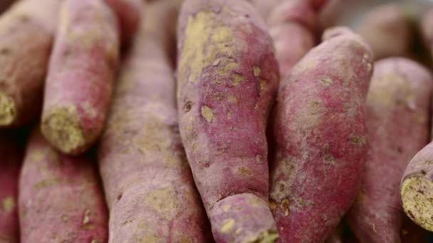 Stoc Cartofi Dulci Proaspeți — Videoclip de stoc