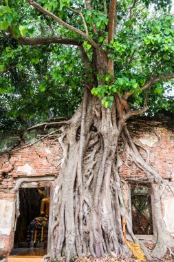 Kratai Tapınak, Tayland antik Tay kilisede seslendirdi.