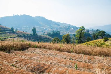 Tayland dağ manzarası, Tayland