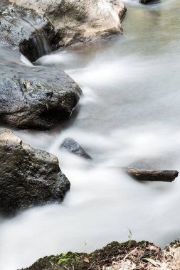 Thai Ormanı, Tayland 'da Su Akıntısı.