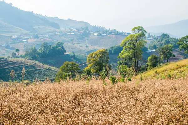 Tayland dağ manzarası, Tayland