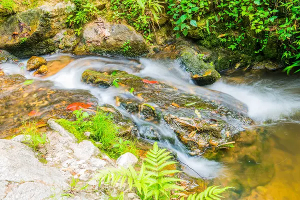 Mae Kampong Şelalesinde Su Akıntısı, Tayland.