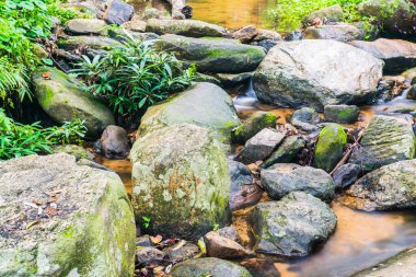 Doğal Park, Tayland 'da Wang Bua Ban şelalesinde su akışı.