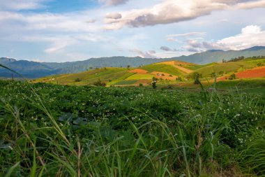 Chiang Mai, Tayland 'da Mae Chaem bölgesinin dağ manzaralı tarım alanı.