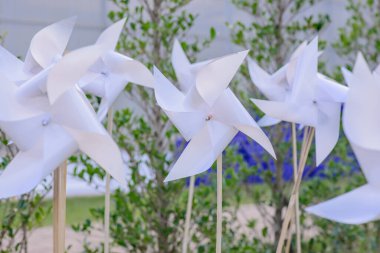 Parktaki Plastik Beyaz Yaban Değirmeni, Chiangmai Eyaleti.