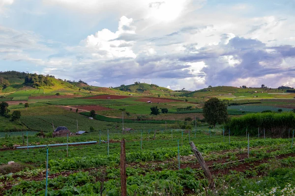 Chiang Mai, Tayland 'da Mae Chaem bölgesinin dağ manzaralı tarım alanı.