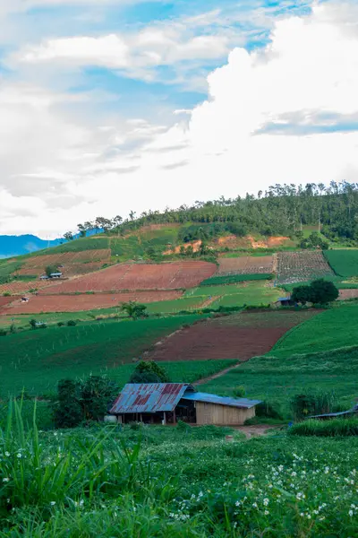 Chiang Mai, Tayland 'da Mae Chaem bölgesinin dağ manzaralı tarım alanı.