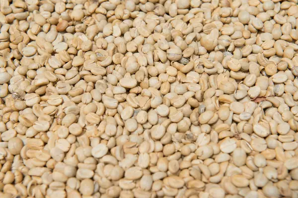 Taze Kahve Fasulyesi, Tayland.