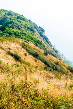 Kew Mae Pan görünümü Doi Inthanon Tabiat Parkı, Tayland