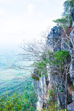 Tayland 'ın Lampang bölgesindeki ağaçlar, mağaralar ve Pan şehri.