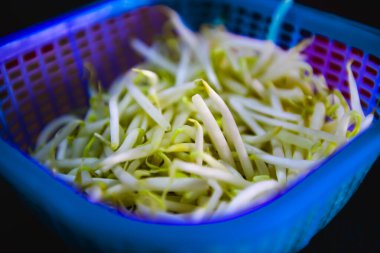 Mavi sepetteki çiğ fasulye filizi, bu taze sebze genellikle Tayland yemeğiyle yenir..