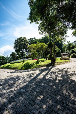 Chiang Rai bölgesindeki Doi Tung Kraliyet Konağı 'nda güzel bir park..