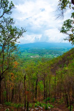 Chalermprakiat Prachomklao Rachanusorn Tapınağı, Tayland.