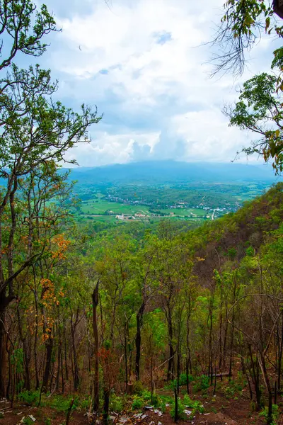 Chalermprakiat Prachomklao Rachanusorn Tapınağı, Tayland.