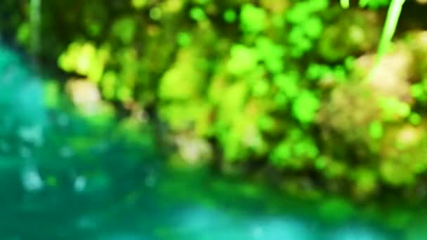 Una Libellula Con Acqua Verde Limpida Pulita Nel Giardino Ombreggiato — Video Stock
