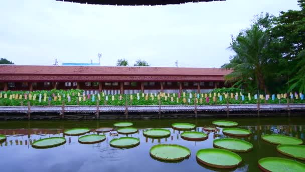 Видео Ландшафта Храма Джедлин Провинции Чиангмай Таиланд — стоковое видео