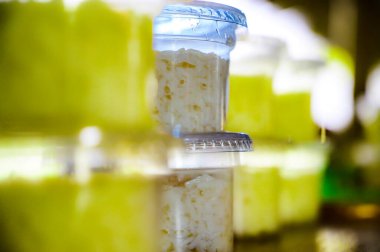 Tayland usulü mayalanmış pirinç ya da plastik bardakta Khao Mak. Khao Mak bir çeşit Tayland tatlısıdır, buharda pişmiş glutinöz pirinçten yapılır ve daha sonra un ve maya ile mayalanır..