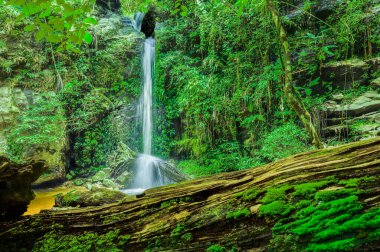 Chiang Mai Eyaleti, Tayland 'daki Monthatharn Şelalesi.