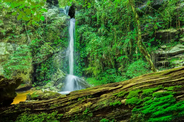 Chiang Mai Eyaleti, Tayland 'daki Monthatharn Şelalesi.