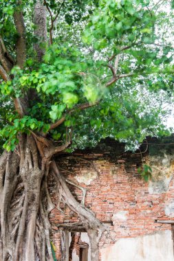 Kratai Tapınak, Tayland antik Tay kilisede seslendirdi.