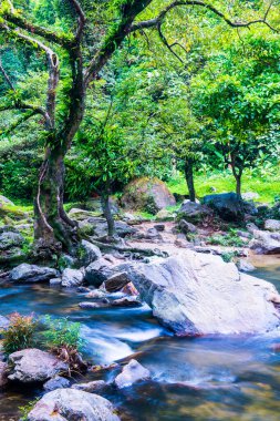 Tayland 'daki ulusal parktaki Klonglan şelalesinde su akıyor..