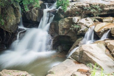 Thai Ormanı, Tayland 'da Su Akıntısı.