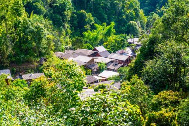 Tayland 'da ormandaki küçük bir köy..