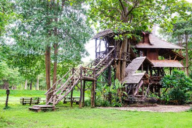 Tayland, ormandaki ahşap ev..