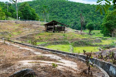 Tayland 'ın Chiangmai eyaletinde beton oluğu olan dağda tarım alanı..