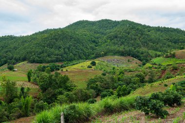 Chiang Mai, Tayland 'da Mae Chaem bölgesinin dağ manzaralı tarım alanı.