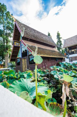 Su Havuzu, Tayland 'daki Antik Tayland Kilisesi Nilüfer Tohumu..