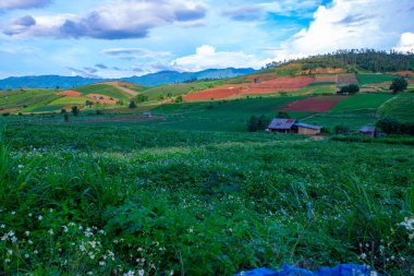Chiang Mai, Tayland 'da Mae Chaem bölgesinin dağ manzaralı tarım alanı.