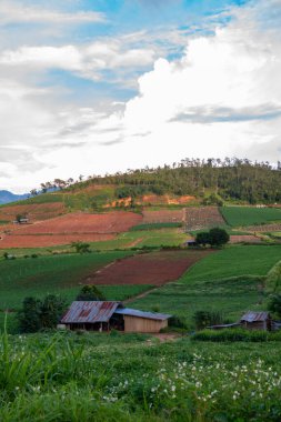 Chiang Mai, Tayland 'da Mae Chaem bölgesinin dağ manzaralı tarım alanı.