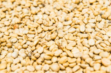 Taze Kahve Fasulyesi, Tayland.