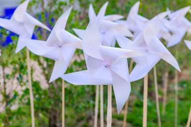 Parktaki Plastik Beyaz Yaban Değirmeni, Chiangmai Eyaleti.