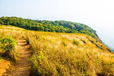 Kew Mae Pan görünümü Doi Inthanon Tabiat Parkı, Tayland