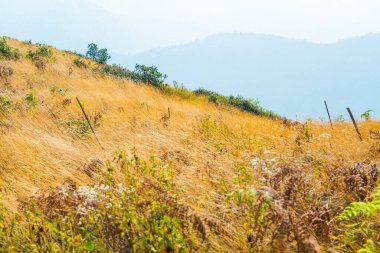 Kew Mae Pan görünümü Doi Inthanon Tabiat Parkı, Tayland