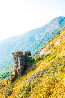 Kew Mae Pan görünümü Doi Inthanon Tabiat Parkı, Tayland