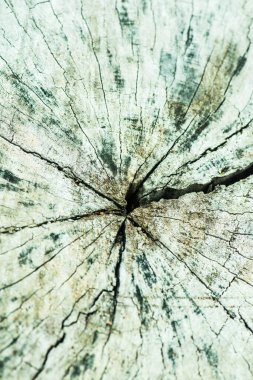 Tayland ahşap dokusuna yakın çekim