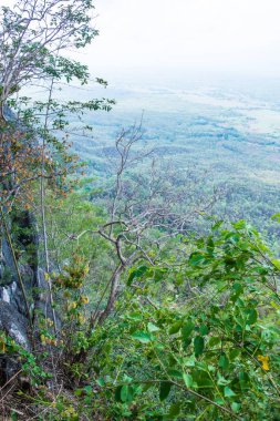 Tayland 'ın Lampang bölgesindeki ağaçlar, mağaralar ve Pan şehri.