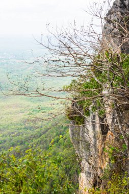 Tayland 'ın Lampang bölgesindeki ağaçlar, mağaralar ve Pan şehri.