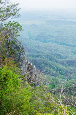 Chaloemphrakiat Prajomklao Rachanusorn Tapınağı, Tayland.