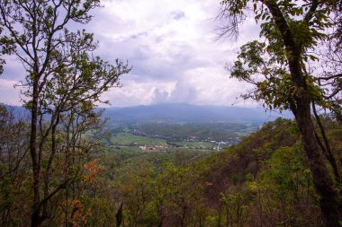 Chalermprakiat Prachomklao Rachanusorn Tapınağı, Tayland.