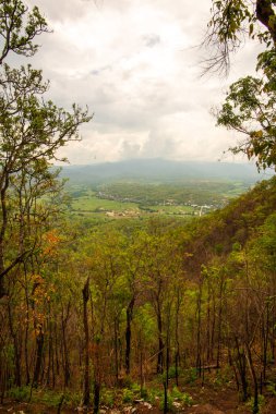 Chalermprakiat Prachomklao Rachanusorn Tapınağı, Tayland.