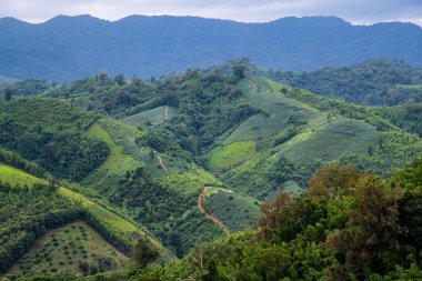 Tayland 'ın Phayao eyaletindeki dağ manzarası.