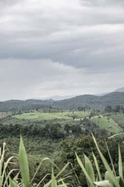 Tayland 'ın Phayao eyaletindeki dağ manzarası.